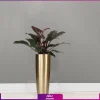 خرید گلدان استیل طلایی بلند با فیلودندرون بلک
