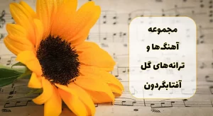 گل فروشی آنلاین | سفارش آنلاین گل - انگور
