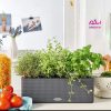 گلدان خودآبرسان- خرید انلاین گلدان- خرید مستقیم از بازار گل-