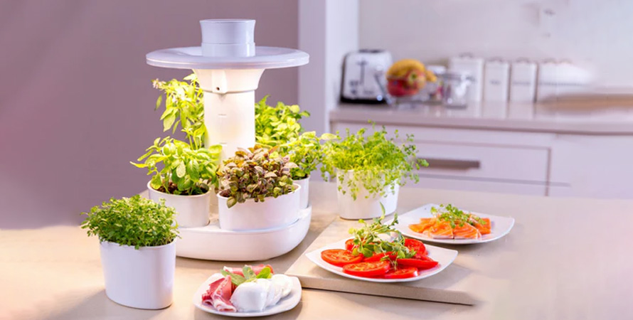 بهترین ابزارهای تکنولوژیک برای دوستداران گیاهان آپارتمانی - انگور