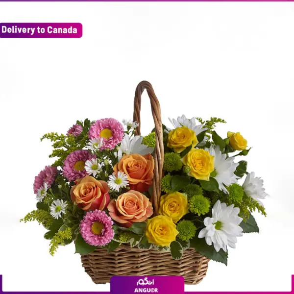 ارسال سبد گل به کانادا- ارسال گل به خارج- انگور