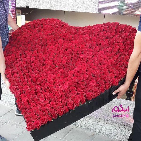 باکس گل رز 1000 شاخه - خرید باکس گل رز قلبی