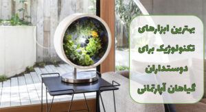گل فروشی آنلاین | سفارش آنلاین گل - انگور