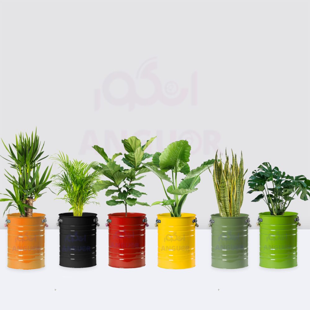 گلدان خالی فلزی فانتزی  لاین در 6 رنگ مختلف (ارتفاع 40) - Image 6