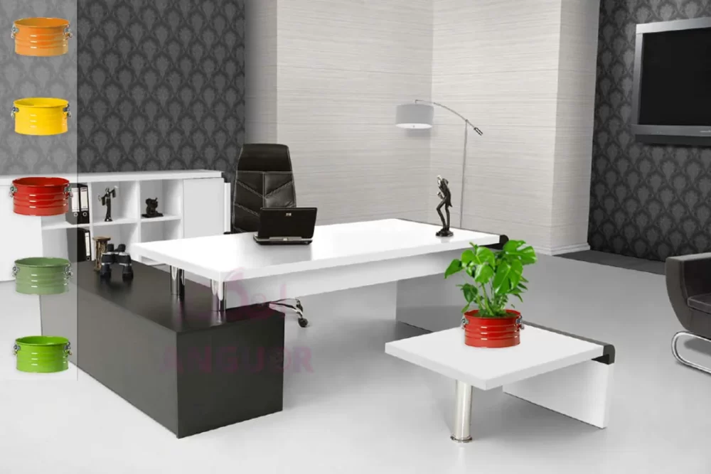 گل گلدانی برگ انجیری - Image 8