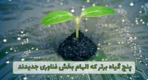 گل فروشی آنلاین | سفارش آنلاین گل - انگور