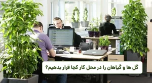 گل فروشی آنلاین | سفارش آنلاین گل - انگور