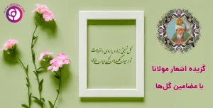 گزیده اشعار مولانا در مورد گل ها