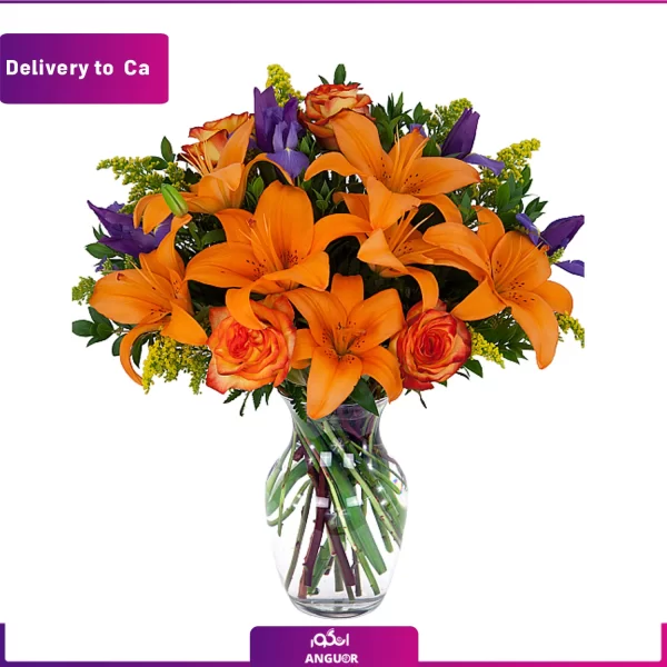 خرید وسفارش آنلاین گل-ارسال گل به کانادا-ارسال گل به خارج از کشور-ارسال هدیه به خارج-انگور