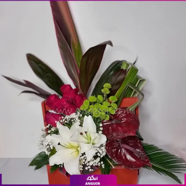 باکس گل خواستگاری قیمت مناسب- خرید آنلاین گل- انگور