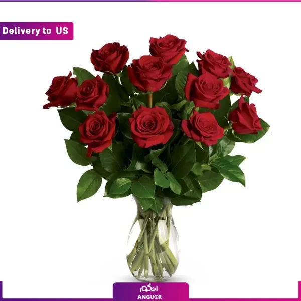 خرید و سفارش آنلاین گل-ارسال گل به آمریکا-ارسال هدیه به آمریکا-ارسال گل و هدیه به خارج-انگور