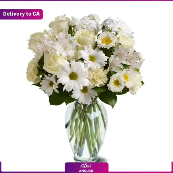 ارسال هدیه به کانادا-ارسال گل به خارج از کشور-خرید وسفارش آنلاین گل-انگور-ارسال گل به کانادا