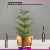 کاج مطبق سایز بزرگ با گلدان چوبی