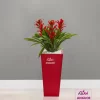 گلدان هدیه لوکس گازمانیا (در سه رنگ مختلف)