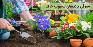 برندهای محبوب خاک