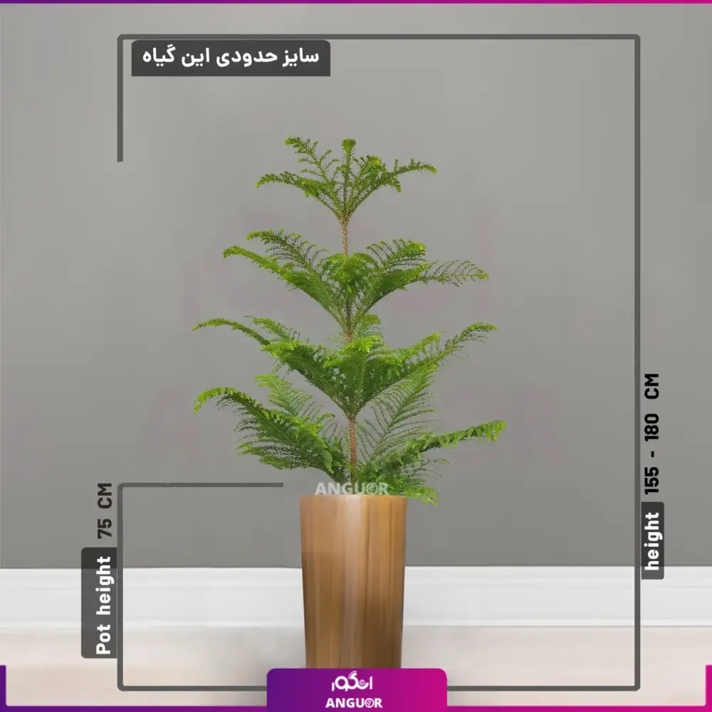 گلدان  فایبرگلاس طرح چوب همراه با کاج مطبق - Image 2