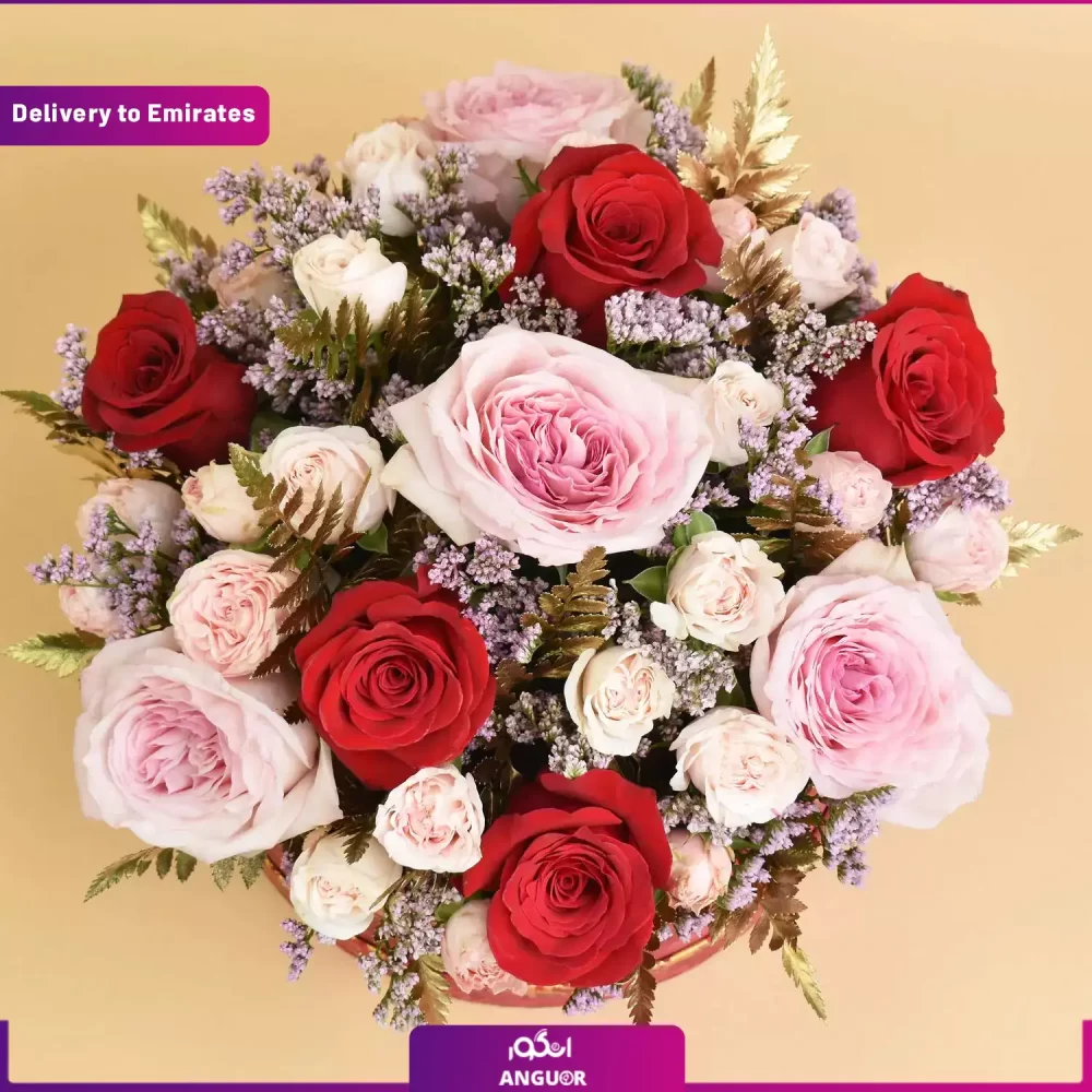 باکس ویژه (دبی و امارات) - Image 3