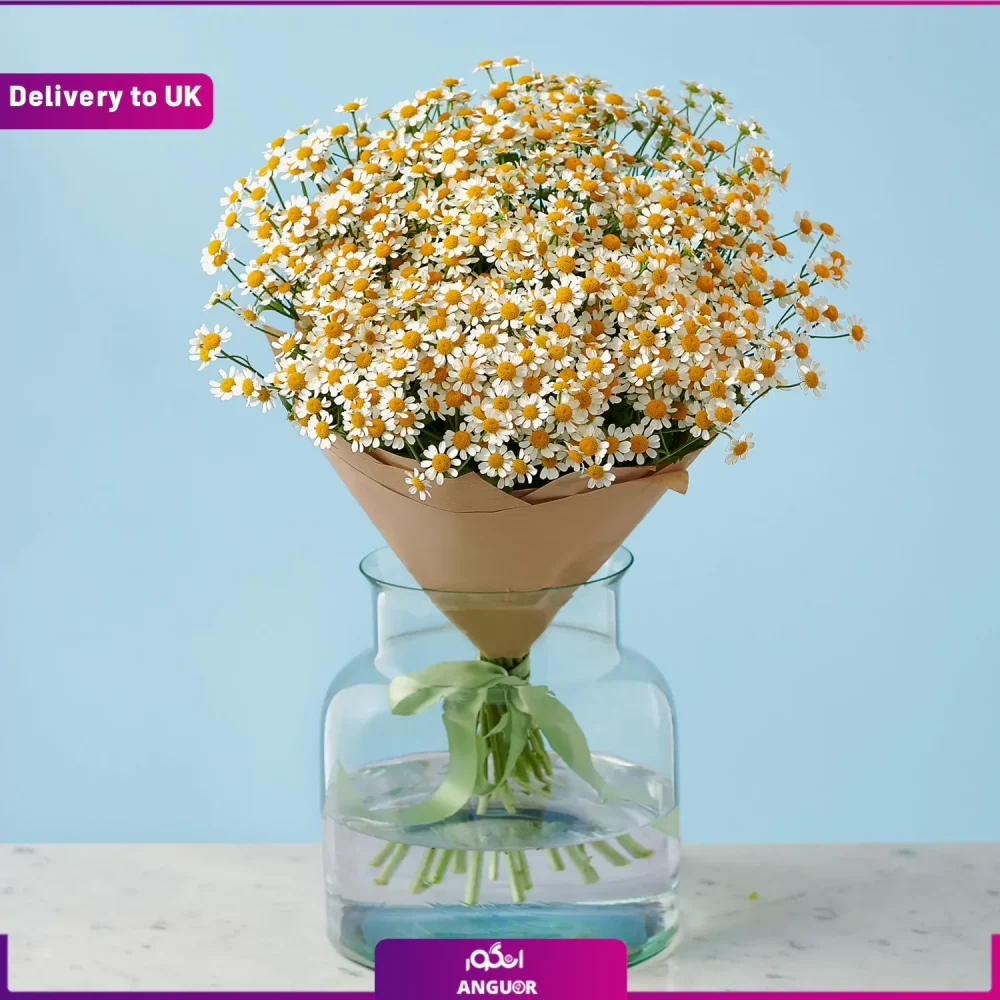 ارسال دسته گل به انگلستان- انگور- ارسال گل به انگلیس