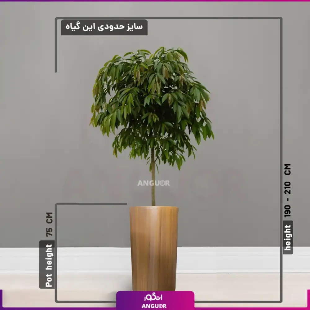 گلدان طرح جدید همراه با آمستل -خرید گلدان لوکس - انگور