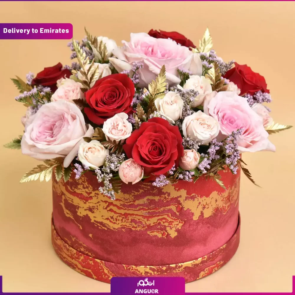 باکس ویژه (دبی و امارات) - Image 2