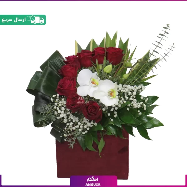 باکس گل رز و ارکیده با ارسال سریع و قیمت مناسب | خرید آنلاین باکس با ارسال سریع+خریدگل ارکیده-عکس و قیمت