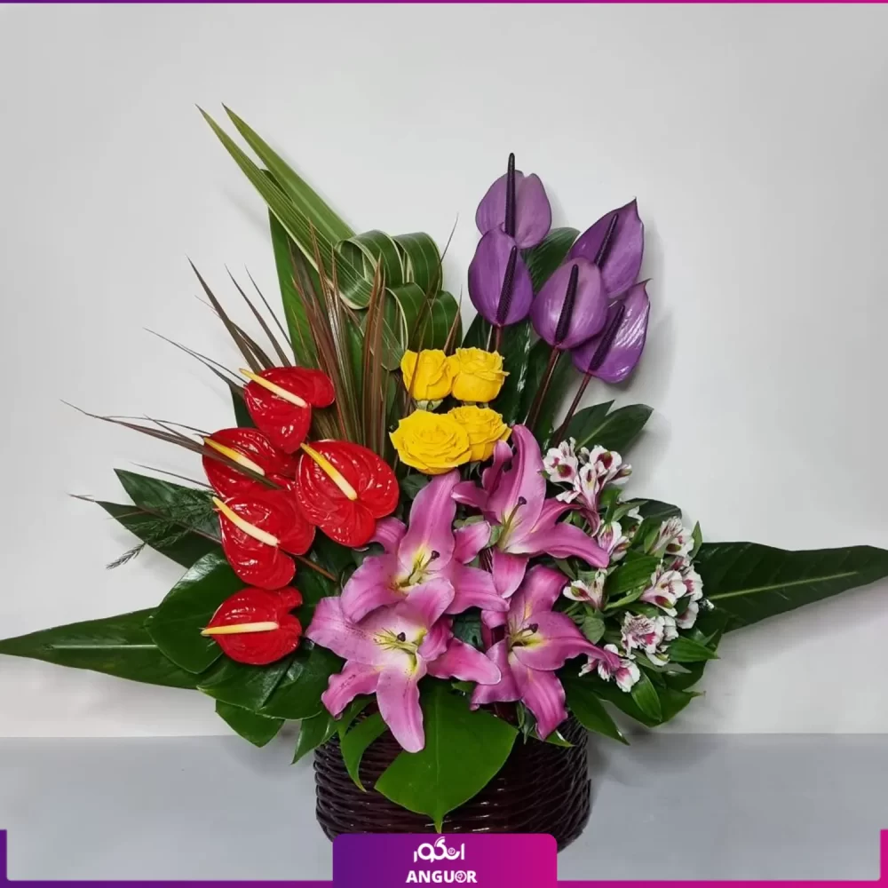 باکس گل زیبا- خرید آنلاین باکس گل- خرید آنلاین سبد گل