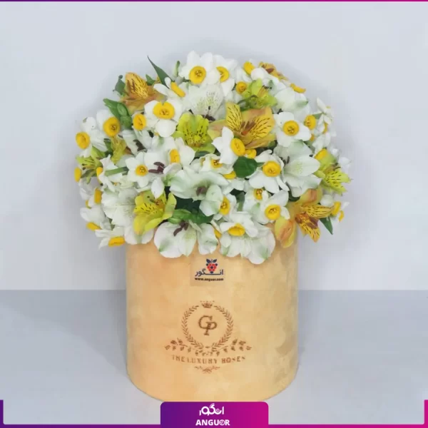 باکس گل نرگس- سفارش آنلاین نرگس