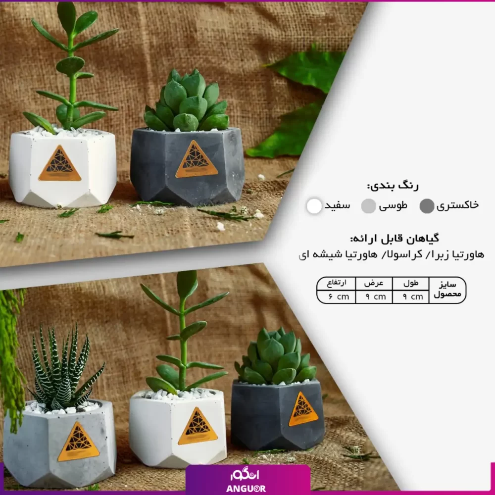 خرید+ سفارش گلدان هدیه مینی (هدایای سازمانی و تبلیغاتی) (1)