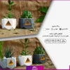 خرید+ سفارش گلدان هدیه مینی (هدایای سازمانی و تبلیغاتی) (1)
