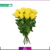 دسته گل 10 شاخه رز زرد (رز هلندی)
