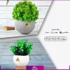 خرید+ سفارش + قیمت و عکس گلدان هدیه تعادلی (هدایای سازمانی و تبلیغاتی) (1)