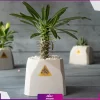 خرید + سفارش + عکس و قیمت گلدان هدیه رومیزی (هدایای سازمانی و تبلیغاتی)