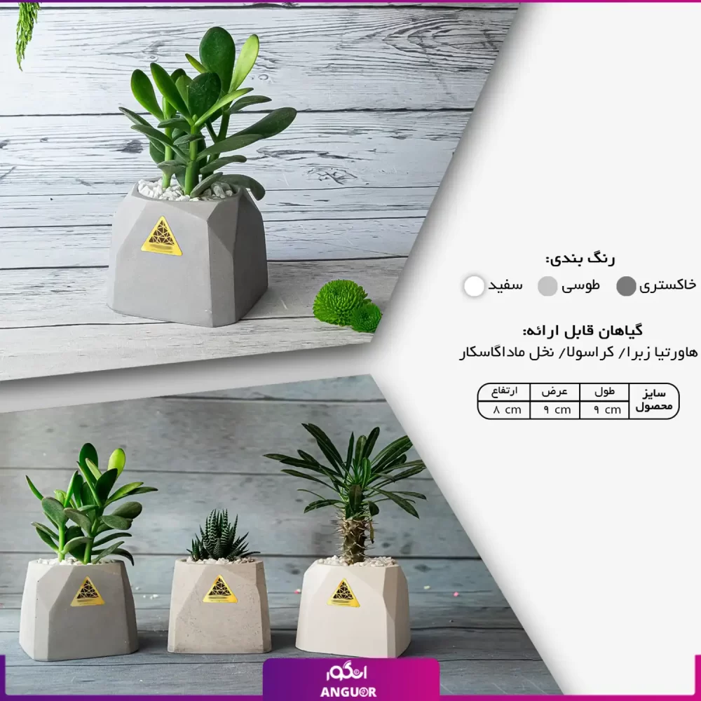 خرید + سفارش + عکس و قیمت گلدان هدیه رومیزی (هدایای سازمانی و تبلیغاتی)
