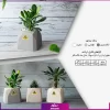 خرید + سفارش + عکس و قیمت گلدان هدیه رومیزی (هدایای سازمانی و تبلیغاتی)