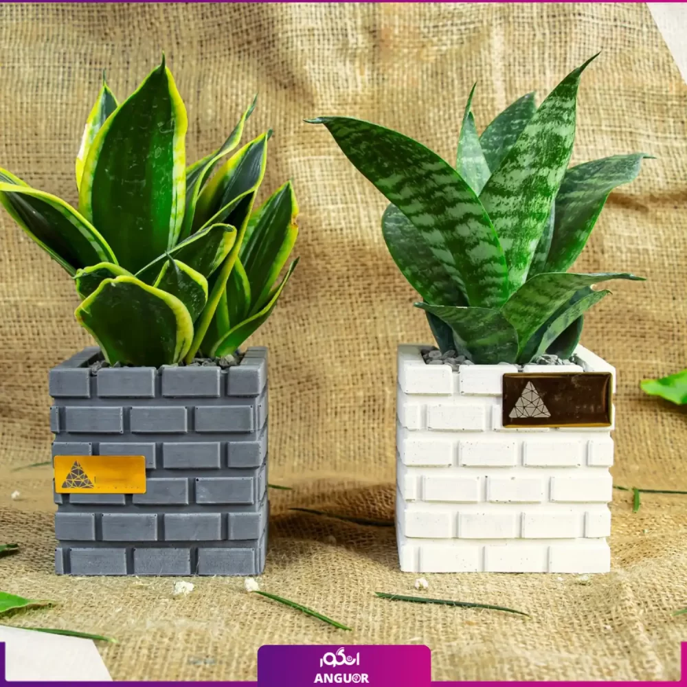 خرید + سفارش + قیمت گلدان هدیه طرح آجری (هدایای سازمانی و تبلیغاتی) (2)
