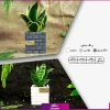خرید + سفارش + قیمت گلدان هدیه طرح آجری (هدایای سازمانی و تبلیغاتی) (2)