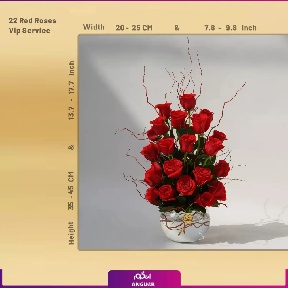 T55 (طرح بین الملل کلاسیک) - Image 2