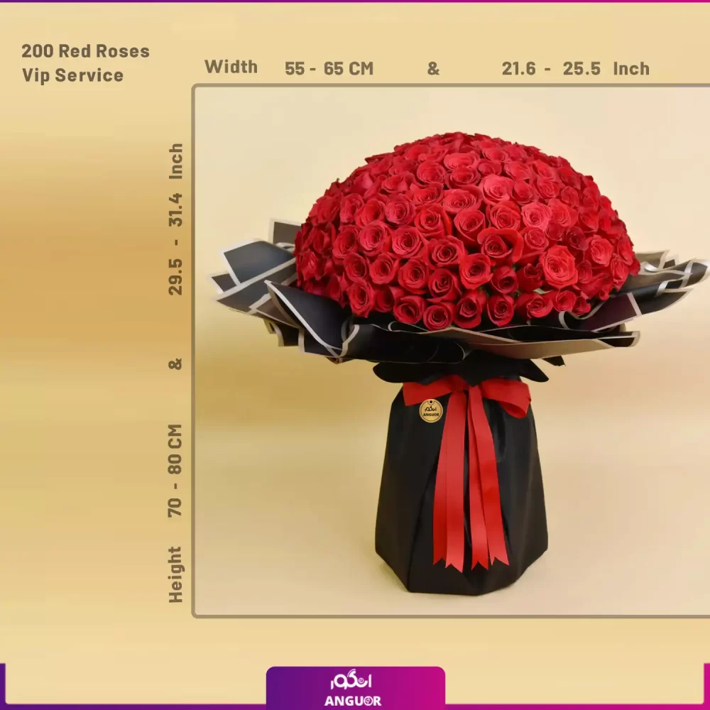 Red Roses Bouquet (طرح بین الملل کلاسیک) - انگور