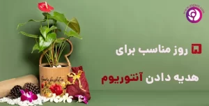 5 روز مناسب برای هدیه دادن آنتوریوم