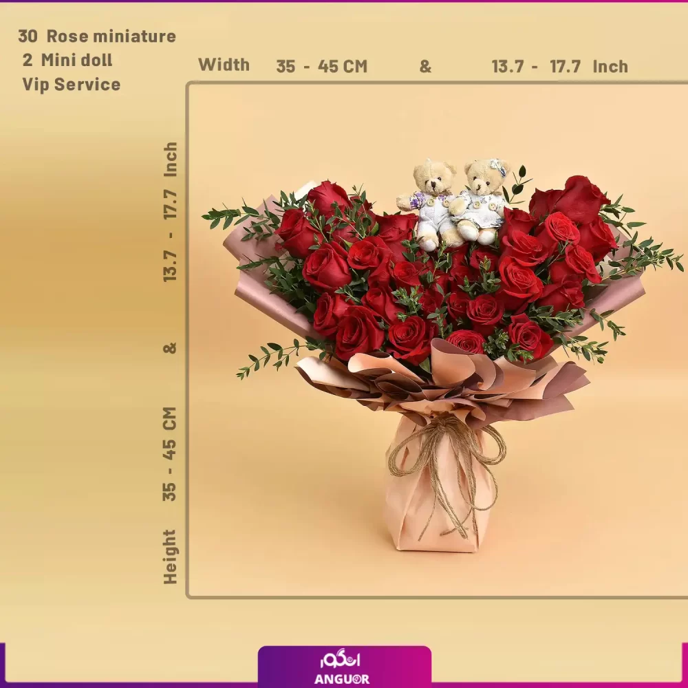 W480 (طرح بین الملل کلاسیک) - Image 2