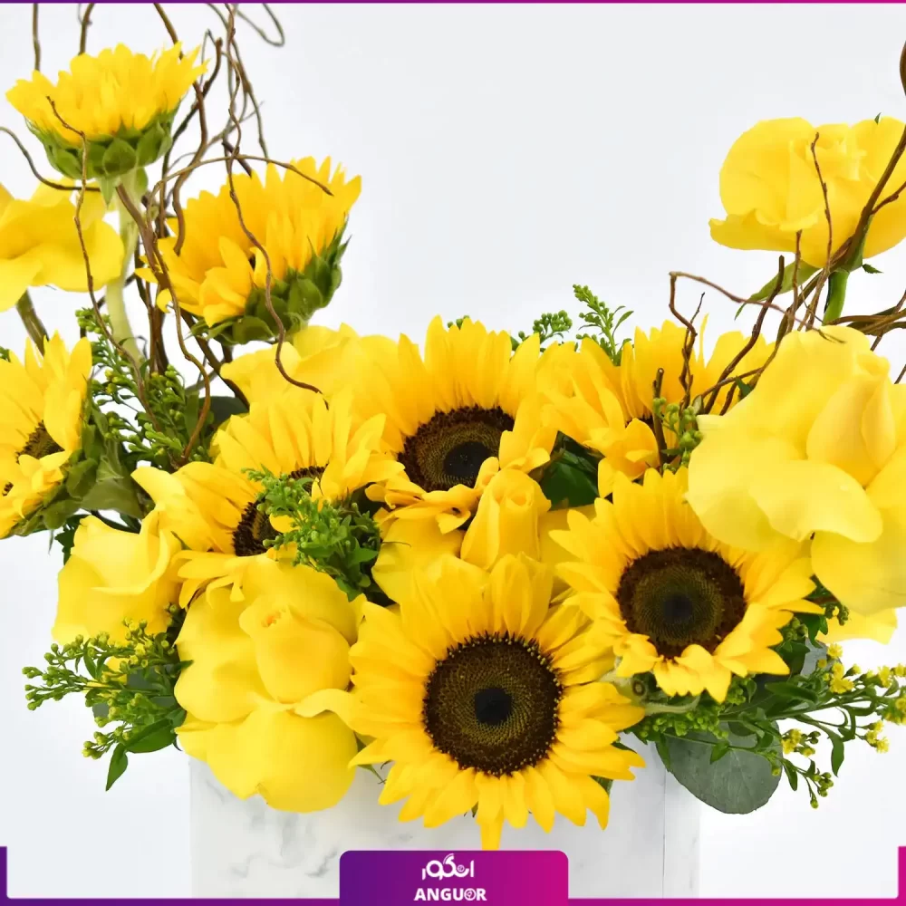 Luxury flower box (طرح بین الملل کلاسیک) - Image 3