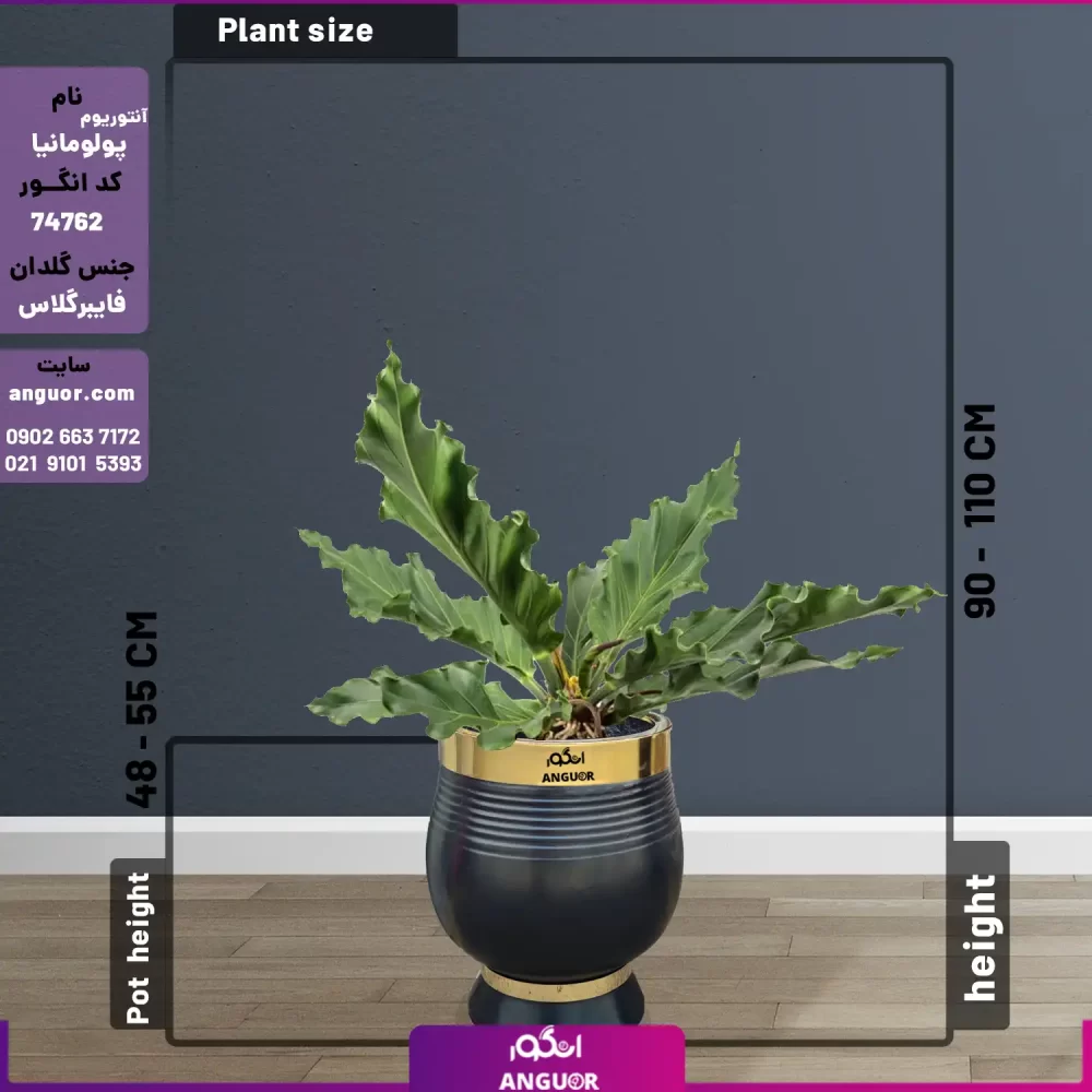 خرید + قیمت + عکس + سفارش گلدان فایبر گلاس تابان همراه با آنتوریوم موج عشق یا پولومانیا (گلدان دکوراتیو مدرن) (2)