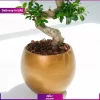 گلدان بونسای طرح s (ارسال به دبی و امارات) - Image 2