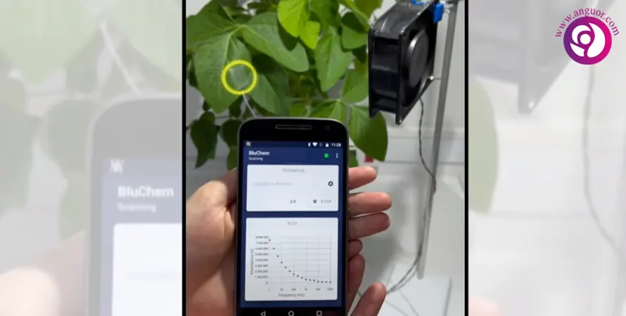 یک فناوری قابل استفاده برای گیاهان: من تشنمه، به من آب بده!! - انگور