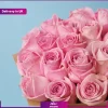 دسته گل 20 شاخه رز صورتی (تحویل در انگلستان) - Image 3