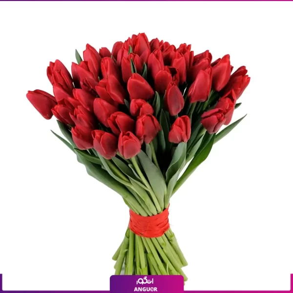 خرید گل لاله | دسته گل عاشقانه لاله قرمز 50 شاخه