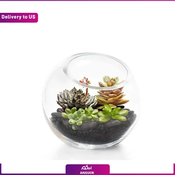 سفارش تراریوم برای امریکا - سفارش گل به امریکا -