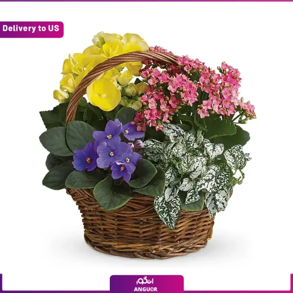 خرید سبد گل - سفارش آنلاین سبد گل - ارسال گل به آمریکا