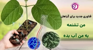 گل فروشی آنلاین تهرانپارس - انگور
