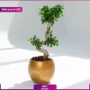 گلدان بونسای طرح s (ارسال به دبی و امارات)